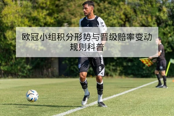 综合体育周报：国际赛事赛程与积分榜速查