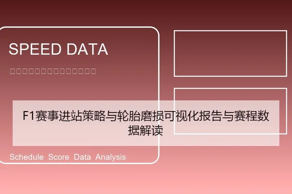 F1赛事进站策略与轮胎磨损可视化报告与赛程数据解读